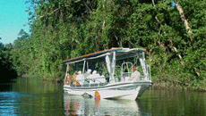 Solar Whisper Wildlife Cruises Daintree River