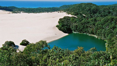 Personalised Fraser Island Day Tour